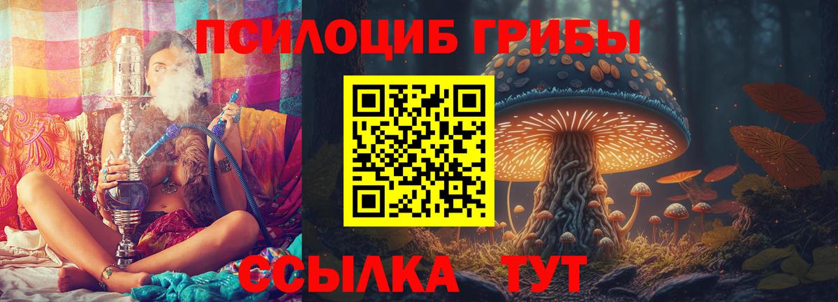 Псилоцибиновые грибы Cubensis  Вход с VPN  Кушва 