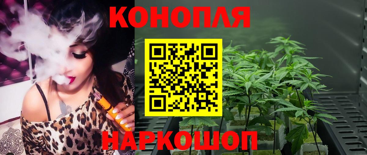 Конопля марихуана Кушва
