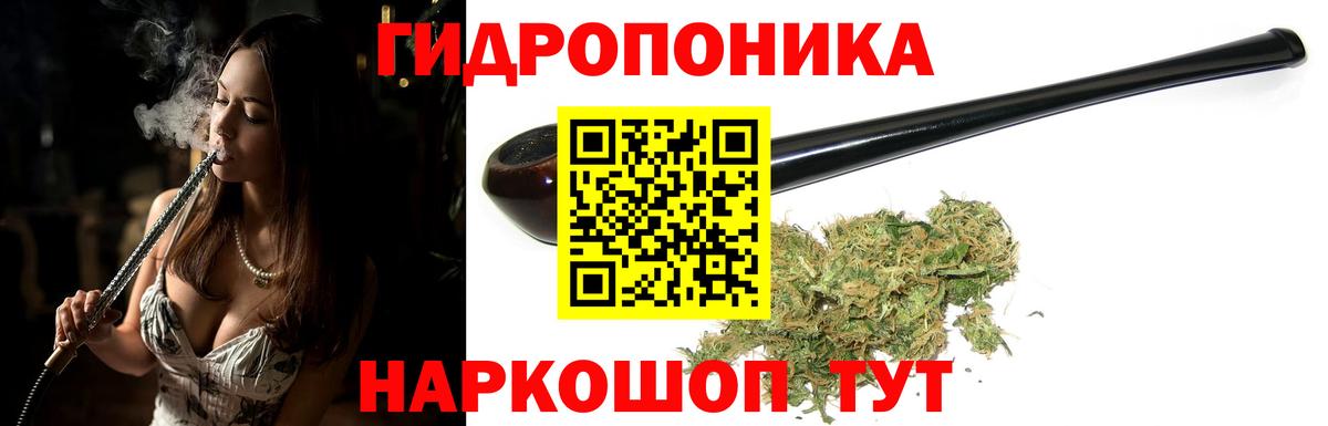 Канабис план  Канабис Bruce Banner  Кушва  Каннабис THC 21%  Вход с VPN 